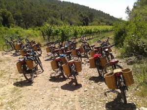 bicicleta-vinedos-slow-travel